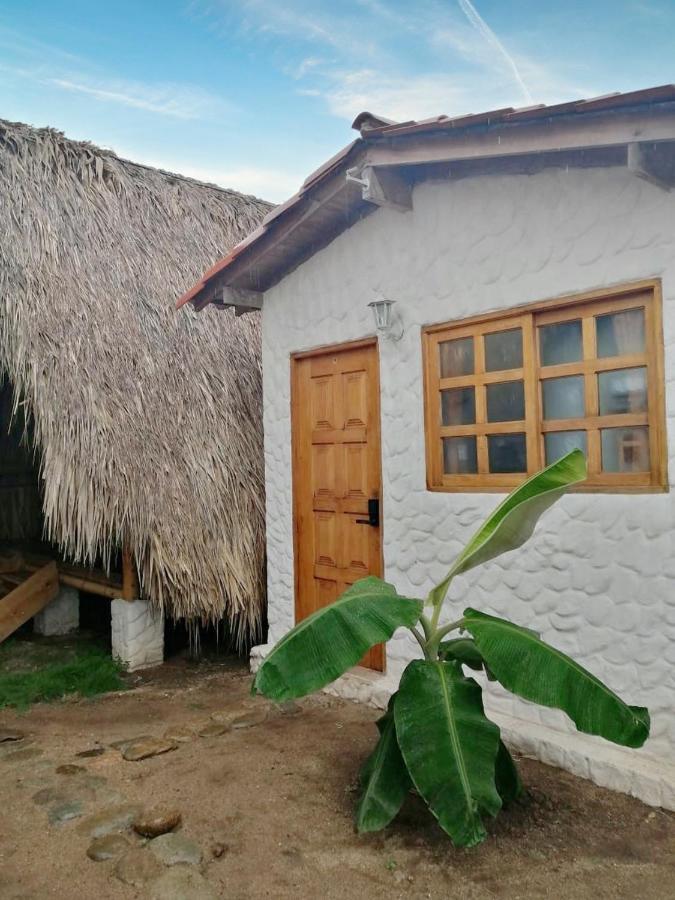 Palomino Sunrise Exterior foto